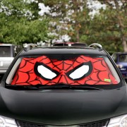 spiderman_osłona3.jpg