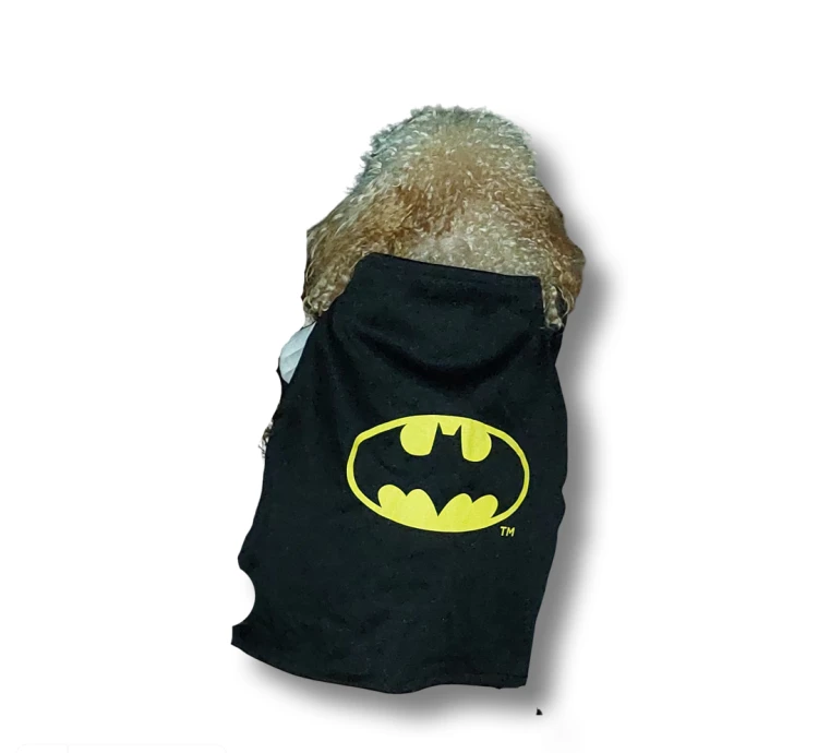 kostium-Batman-dla-psa-1.PNG