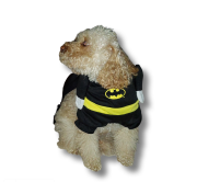 kostium-Batman-dla-psa-3.PNG