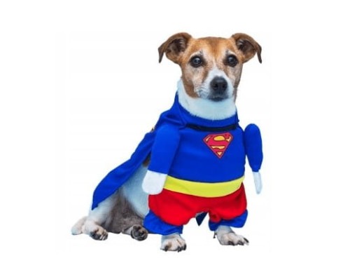 kostium-Superman-dla-psa-3.jpg