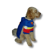 kostium-Superman-dla-psa-1s.PNG