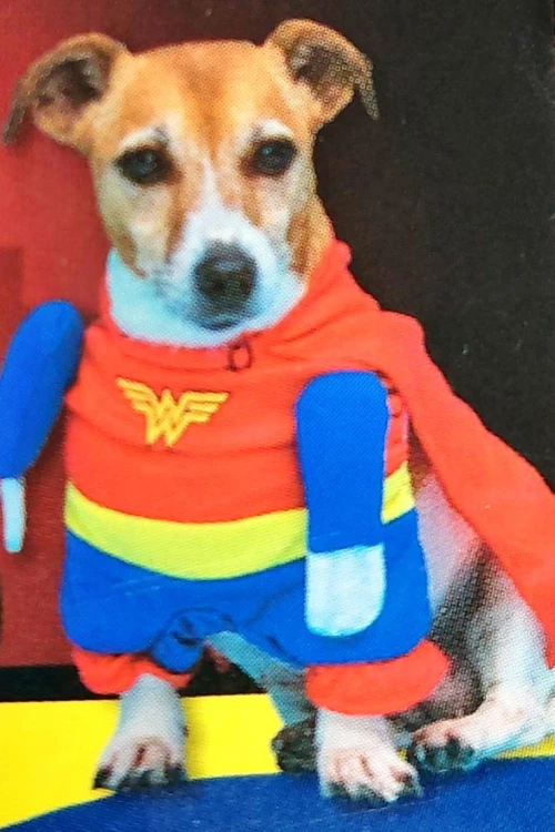 kostium-Wonder-Woman-dla-psa-3.jpg