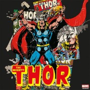canvas-thor-1.jpg