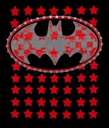koszulka-batgirl_w_gwiazdach_2.jpg