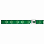 pasek-green-lantern.jpg