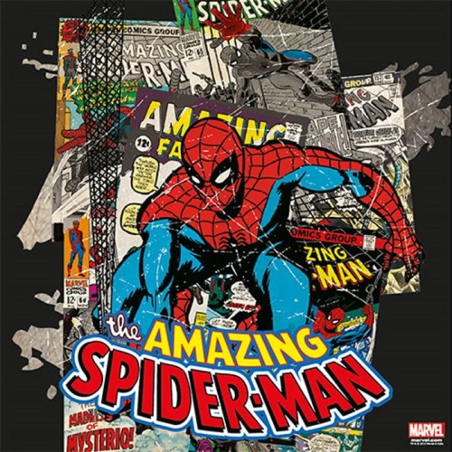 canvas-spider-man-1.jpg